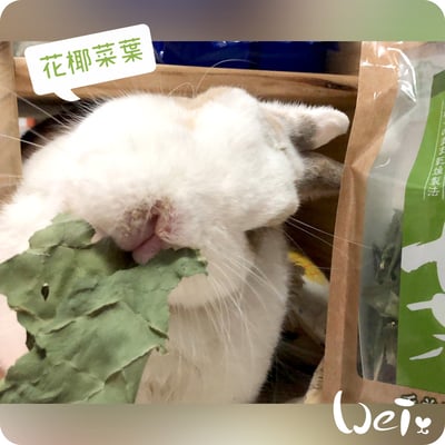 GEX健康食譜 花椰菜葉6