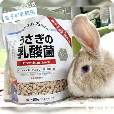 WOOLY 兔子的乳酸菌1