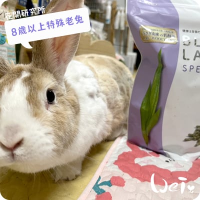 WOOLY花開研究所 8歲以上特殊老兔飼料2