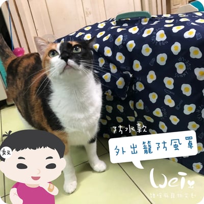 手作 - 外出籠套 防風罩 (防水款)9