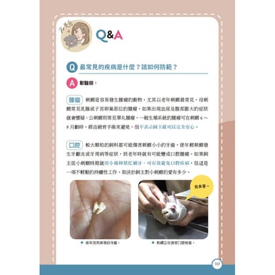 《書》刺蝟完全飼育手冊：居家照護、性格互動、醫療疾病全面掌握一本通！9