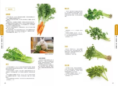 《書》兔兔喜歡吃什麼？兔子的飲食與營養百科  新版 よくわかるウサギの食事と栄養7