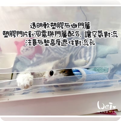 【寵物氧氣房注意事項】自製氧氣房DIY方法 - 圍片組裝/整理箱改造/籠子/外出 經驗分享9
