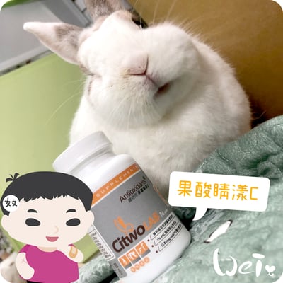 CI兔 Citwo LAB 果酸睛漾C4