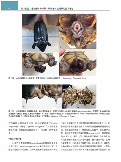 《書》Mader’s兩棲與爬蟲內外科(第3版)(上冊)3