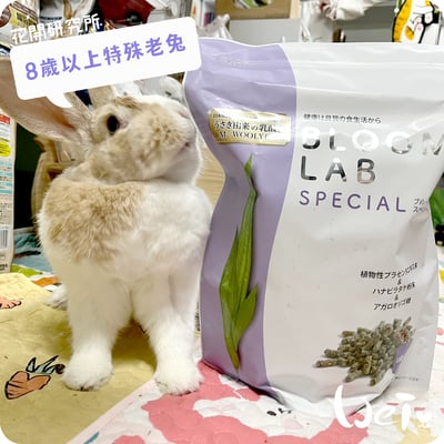 WOOLY花開研究所 8歲以上特殊老兔飼料3