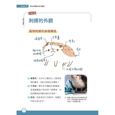《書》刺蝟完全飼育手冊：居家照護、性格互動、醫療疾病全面掌握一本通！2
