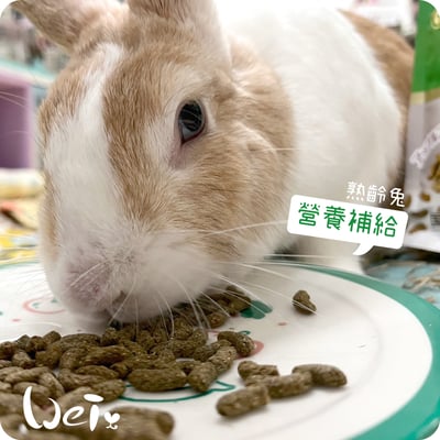 日寵老兔營養補給兔糧(4歲以上)3