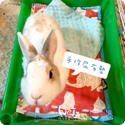 手作 - 多功能寵物吸尿床墊 / 尿布墊 / 隔尿墊7