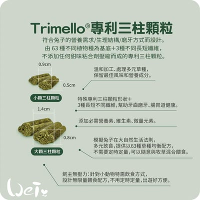 Bunny德國邦尼 夢想成兔無糖草莓＋薄荷配方(小顆三柱顆粒)7