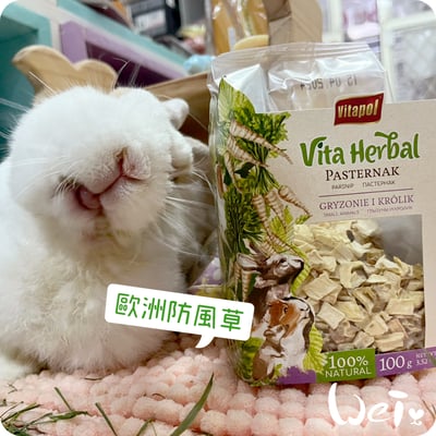 Vitapol維他寶 歐洲防風草點心(NG特價)10