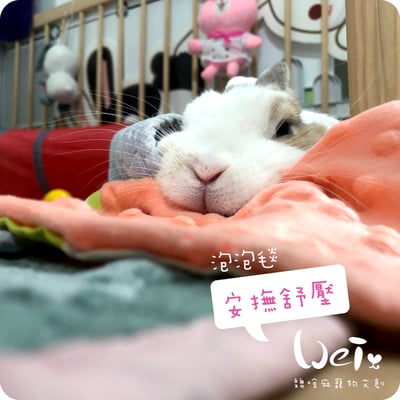 手作 - 拼圖泡泡毯4