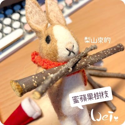 梨山 蜜蘋果樹枝10