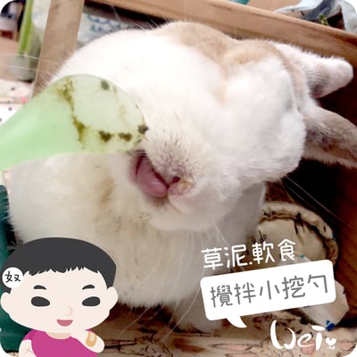 軟食/草泥攪拌小挖勺5