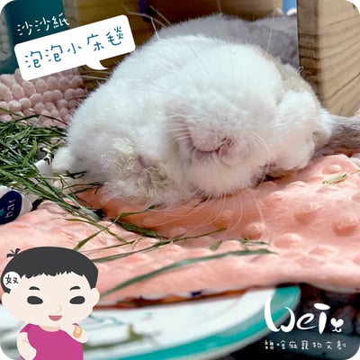 手作 - 泡泡小床毯 (沙沙響紙)22