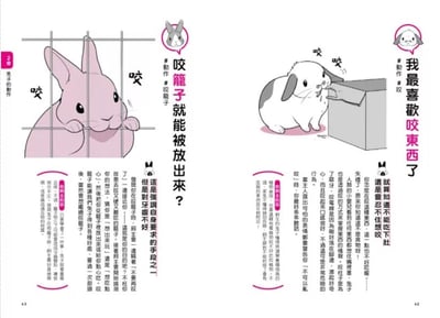 《書》兔兔跟你想的不一樣！：了解兔兔的130個真心話  飼い主さんに伝えたい130のこと うさぎがおしえるうさぎの本音5