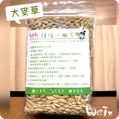 小麥草 / 貓草種子套餐組7