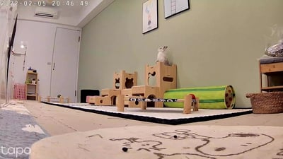 兔子私房住宿 - Cony和嘟嘟家 (新竹)12