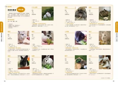 《書》兔兔喜歡吃什麼？兔子的飲食與營養百科  新版 よくわかるウサギの食事と栄養8