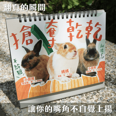 完售 日日有兔兔 X 2026 浪兔公益桌曆 (台灣流浪兔保護協會)5