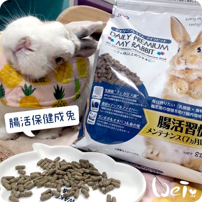 日本NPF恩貝護 腸活保健成兔(優益兔)1