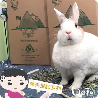 摩米MOMI 農夫皇牌 T2 二割提摩西7