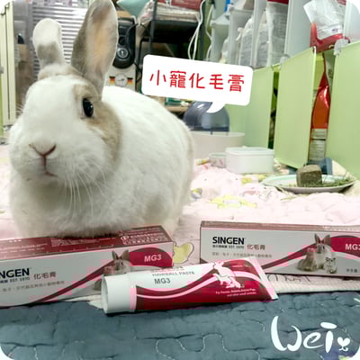 信元發育寶 小寵化毛膏1