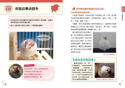 《書》文鳥的幸福飼育指南 もっと知りたい 文鳥のすべて 幸せな飼い方・接し方がわかる本6