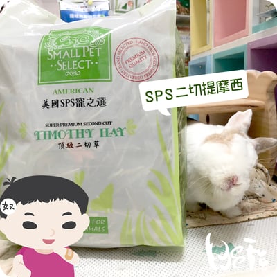 美國SPS寵之選 二切提摩西3