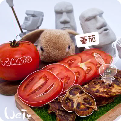 蕃茄乾1