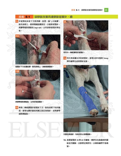 《書》小動物臨床技術，第三版4