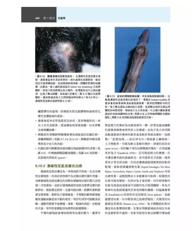 《書》兔醫學，第三版4