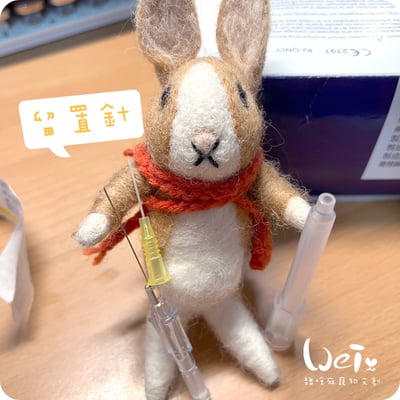 (寵物傷口沖洗用) BD-靜脈留置針 / 軟針 24G 黃色 (純介紹，網路不可販售)6