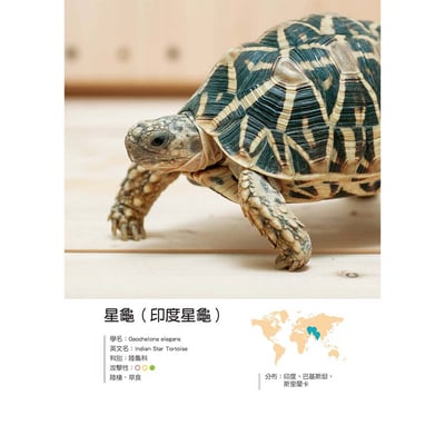 《書》烏龜飼育與圖鑑百科7