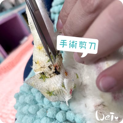 (包紮) 外科手術剪刀--直尖圓 (醫療剪刀/不銹鋼/食物料理剪刀)11