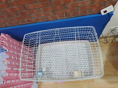 (暫停接案) 兔子私房住宿 - 呵ki家 (土城)4