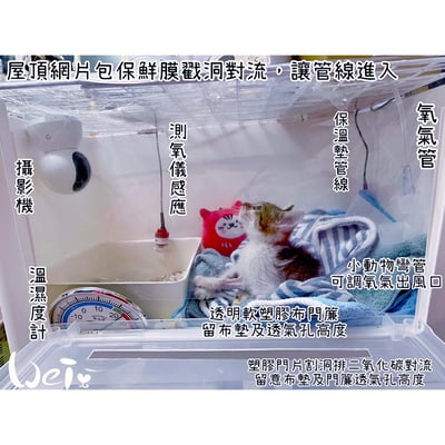 皆已出租無現貨【新北板橋-租借】寵物氧氣房用測氧儀 (便攜式 O2 氧氣濃度檢測儀 CY-12C )4
