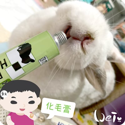 日本Sanko 愛兔化毛膏2