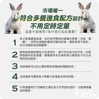 Bunny德國邦尼 夢想高齡兔草本養生無糖配方(小顆三柱顆粒)7