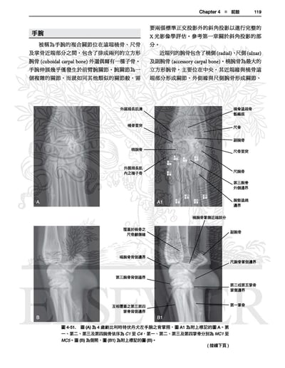 《書》犬貓放射解剖學圖譜(2版)2