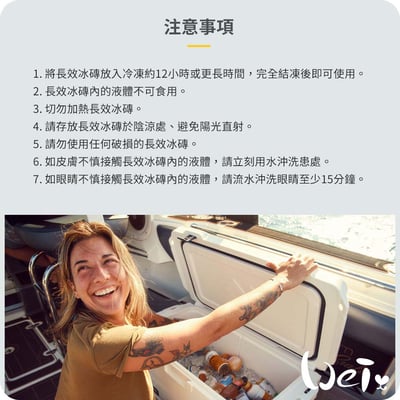 Dometic薄款長效冰磚CI-420G+手作吸濕透氣冰磚網袋15