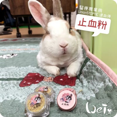 寵物用止血粉 專業用 UnionSTOPTIC 速血停 (分裝)3
