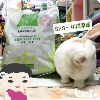 美國SPS寵之選 一切提摩西3