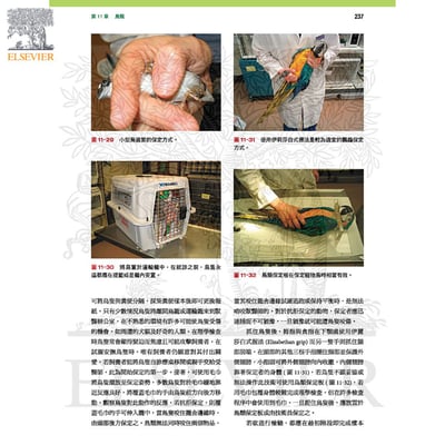 《書》野生動物臨床入門：恆溫動物(現貨)3