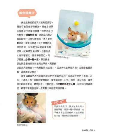 《書》愛鼠飼育大百科：常見寵物鼠品種介紹與飼養相處方法全收錄！(愛鼠協會出版)2