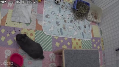 兔子私房住宿 - Cony和嘟嘟家 (新竹)10