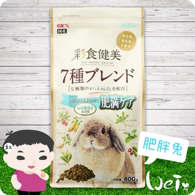 GEX彩食健美肥胖兔1