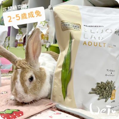 WOOLY花開研究所 2-5歲成兔飼料2