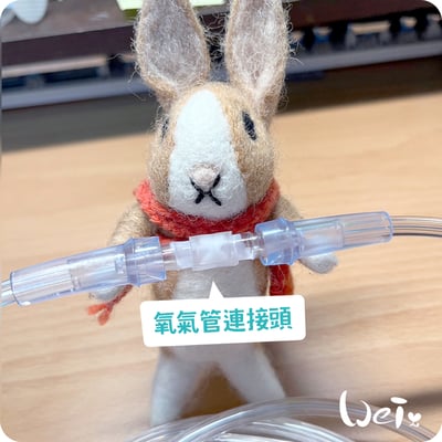 【氧氣機 / 氧氣鋼瓶配件】6米2米氧氣延長管/連接頭/小動物接氧配件管組/兒童面罩/聖誕樹接頭2
