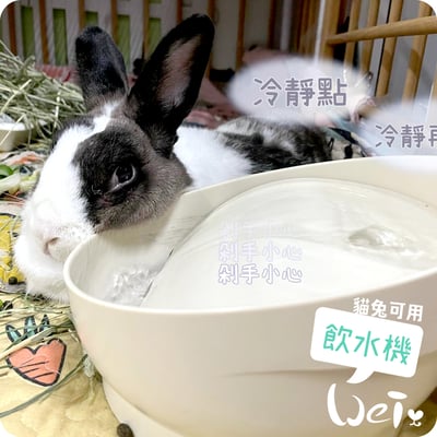 GEX渴盼循環式電動飲水器 / 飲水機 (兔可用)8